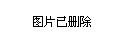 建设项目 第969页