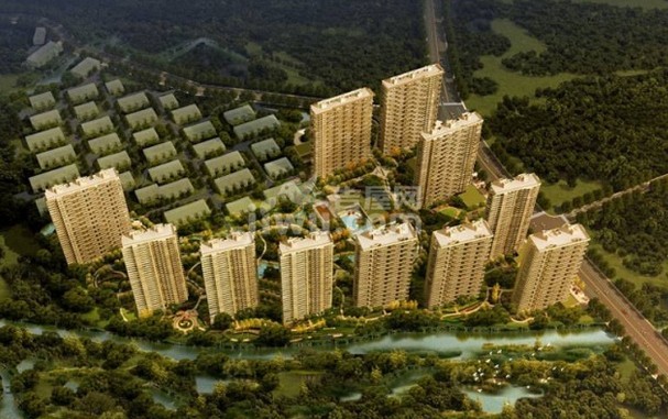 新中国际最新价格，一、新中国际概况