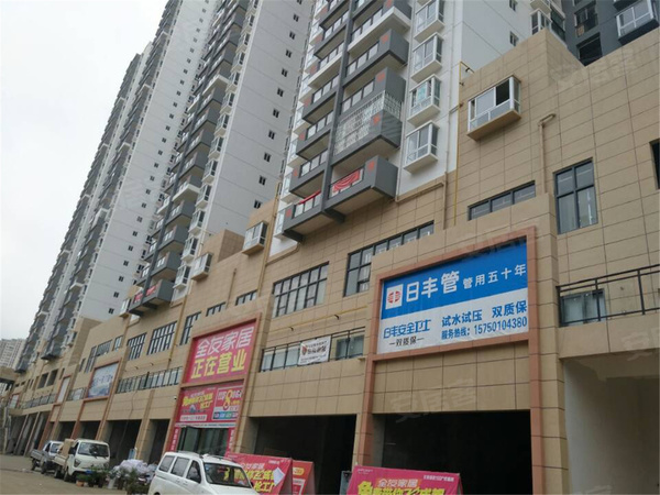泰平盛世荷苑最新消息揭秘，25日动态速递