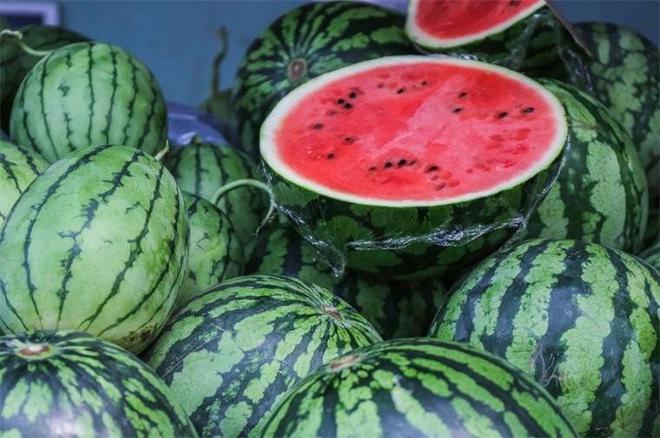最新西瓜批发价格行情分析与预测