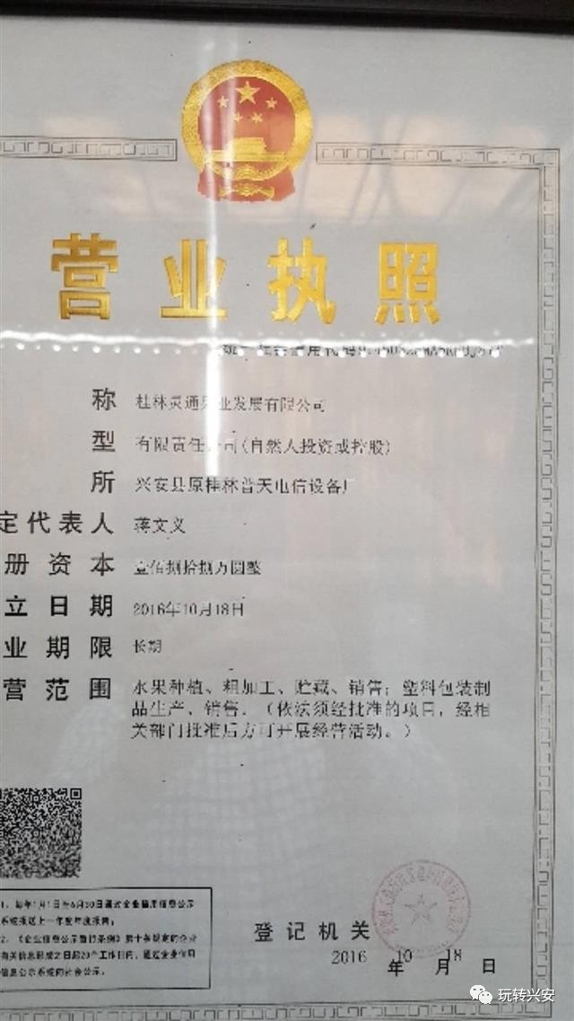 沛县食品厂最新招工启事，岗位介绍、要点详解与行业展望