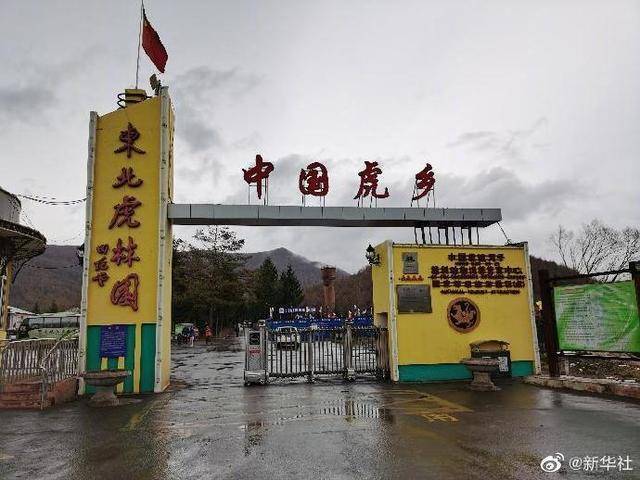 江南烟雨断桥殇 第151页
