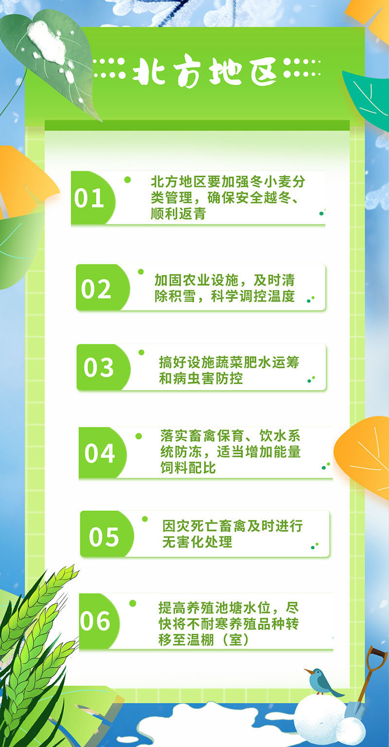 数据指导策略规划