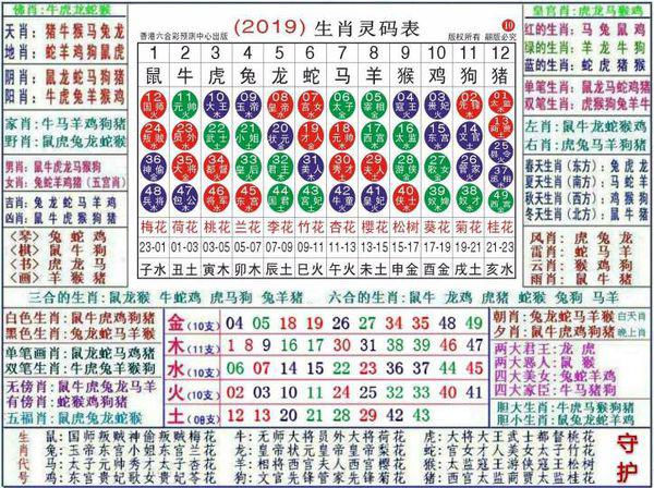 预测分析说明