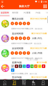 澳门赌博违法犯罪