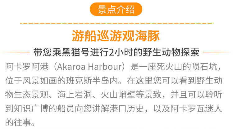 11月1号最新干事职责详解，如何高效履行新职务？
