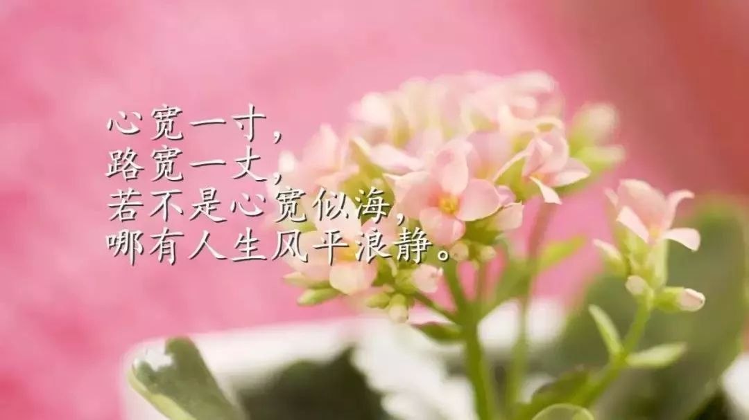 admin 第110页