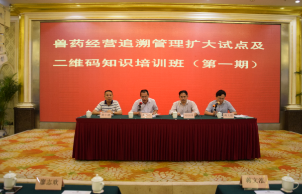 新澳正版资料免费大全,视察解答解释落实_扩展款10.516