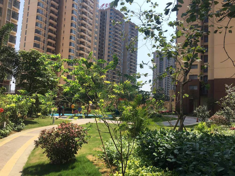 江南烟雨断桥殇 第100页