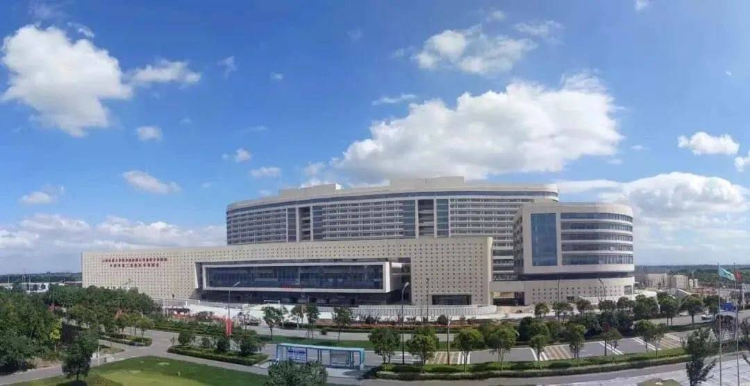 界首市中医院新篇章,招聘背后的故事与温馨启程