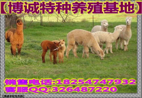 基本二八 第40页