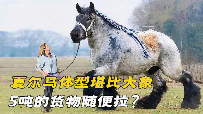 基本二八 第38页