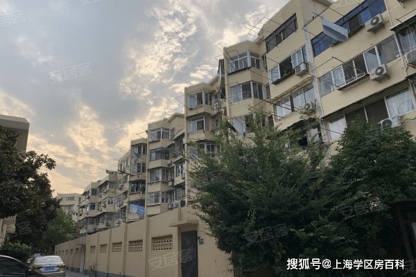初告白 第59页