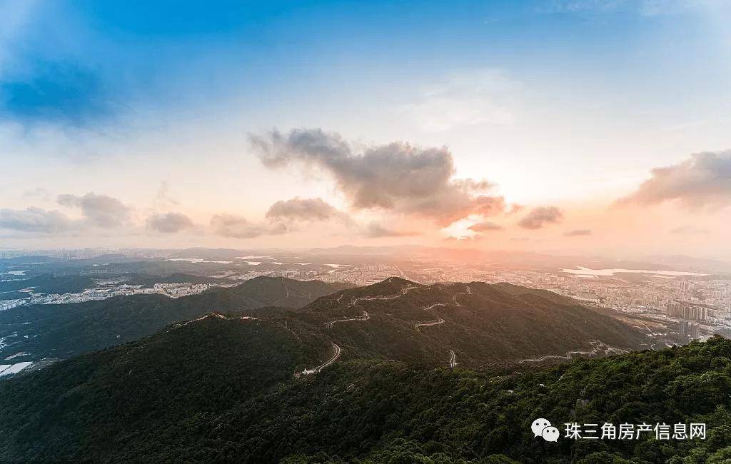 橘虞初梦 第61页