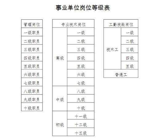11月8日舒城最新招聘岗位信息更新，变化中成长，学习中自信