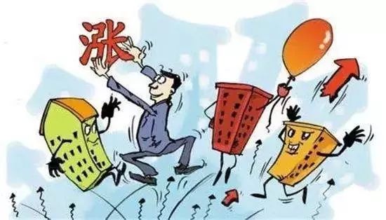 探寻小巷秘境,揭秘特色小店与最新苍术价格走势(11月8日)