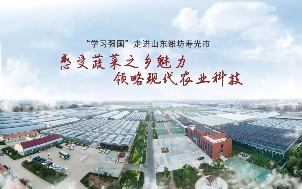 往年11月10日寿光新篇章，变化中的学习，成就感的魔法时刻