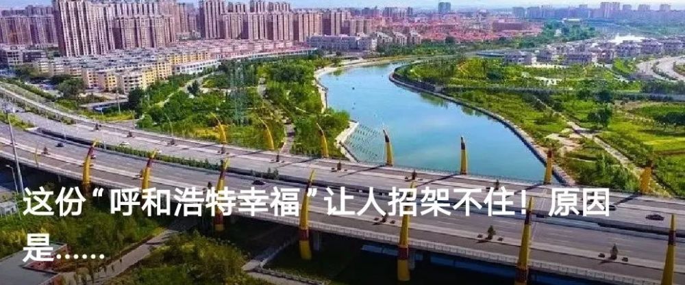 固阳县本月人事任免回顾，最新人事调整动态与影响分析
