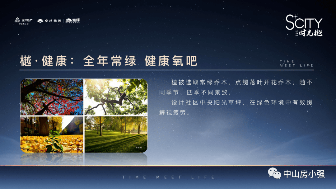 tangerhuangzhi 第29页