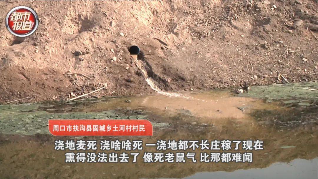 初告白 第37页