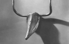 历史上的11月14日,旌德论坛热议最新消息,深度解读正反观点与个人立场