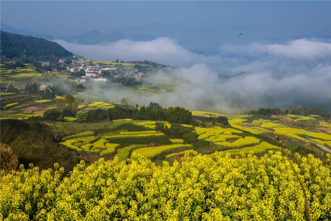 洪湖疫情下的心灵之旅，自然共舞与寻找内心平静