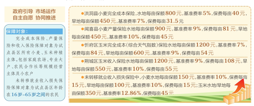 跑狗图,专业解读方案实施_NKH91.898薄荷版