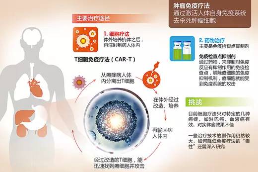 xiangzunyugui 第29页