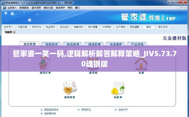 管家婆一笑一码,逻辑解析解答解释策略_JIV5.73.70魂银版