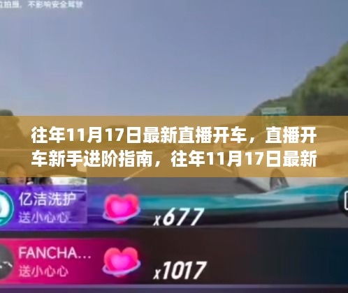 往年11月17日直播开车回顾,新手进阶指南与步骤详解