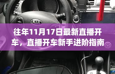 往年11月17日直播开车回顾,新手进阶指南与步骤详解