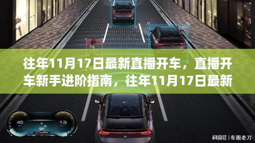 往年11月17日直播开车回顾,新手进阶指南与步骤详解