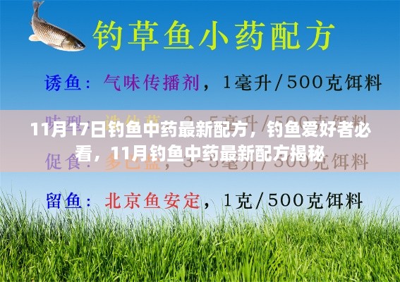 揭秘钓鱼中药最新配方，钓鱼爱好者必看的秘密武器