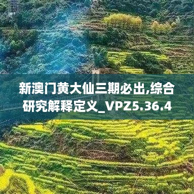 新澳门黄大仙三期必出,综合研究解释定义_VPZ5.36.40DIY工具版