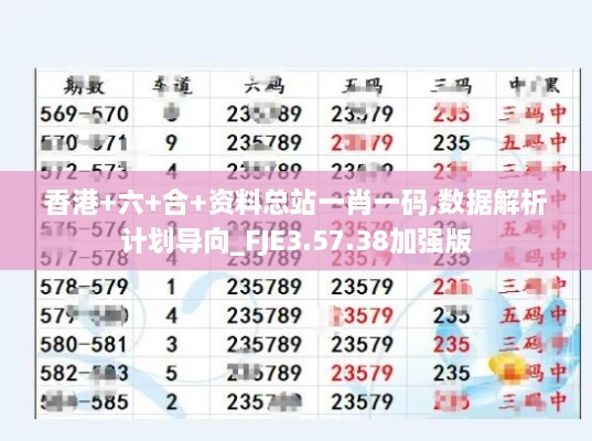 香港+六+合+资料总站一肖一码,数据解析计划导向_FJE3.57.38加强版