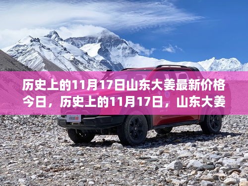 历史上的11月17日山东大姜最新价格揭秘,今日行情与未来展望