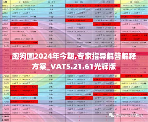跑狗图2024年今期,专家指导解答解释方案_VAT5.21.61光辉版