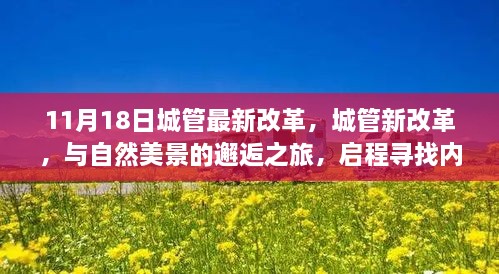bupiwaqi 第24页