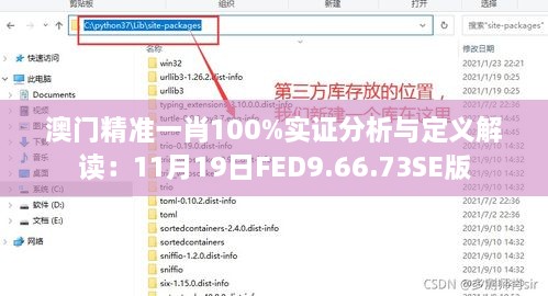 澳门精准一肖100%实证分析与定义解读：11月19日FED9.66.73SE版