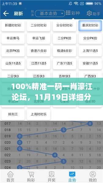 100%精准一码一肖濠江论坛，11月19日详细分析与解答措施_IRO7.13.66环保版