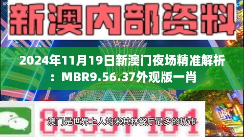 建设项目 第607页