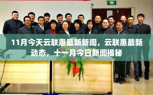 揭秘云联惠最新动态，十一月今日新闻更新速递