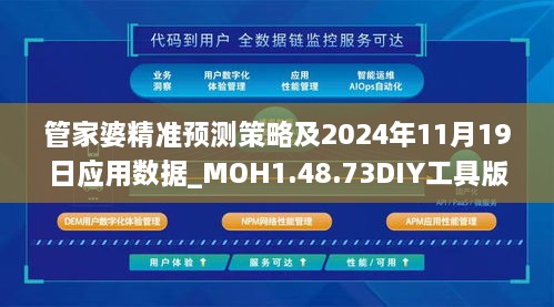 管家婆精准预测策略及2024年11月19日应用数据_MOH1.48.73DIY工具版