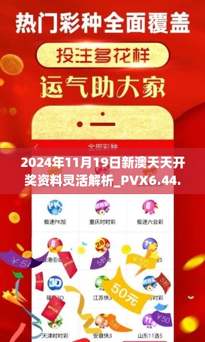 2024年11月19日新澳天天开奖资料灵活解析_PVX6.44.48精密版