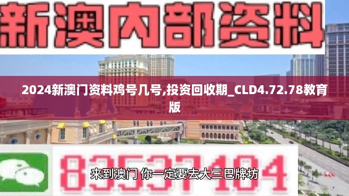 2024新澳门资料鸡号几号,投资回收期_CLD4.72.78教育版