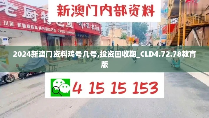 2024新澳门资料鸡号几号,投资回收期_CLD4.72.78教育版