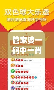 管家婆一码中一肖2024,官方解答解释落实_KVX8.68.52黑科技版