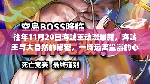 海贼王动漫最新篇章，大自然的心灵之旅与尘嚣之外的冒险揭秘