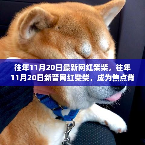 maoshoumaojiao 第22页
