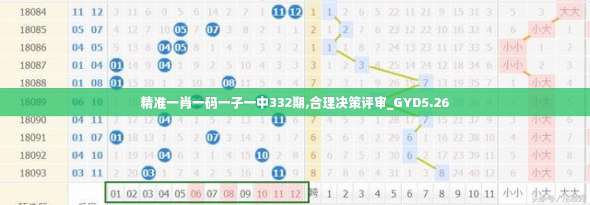 精准一肖一码一子一中332期,合理决策评审_GYD5.26